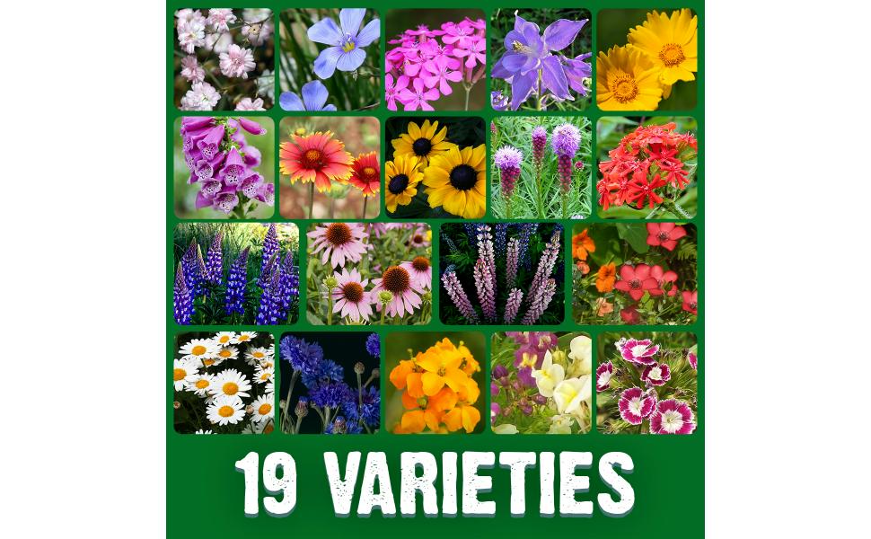 annual perennials packets indoor planting canada outdoor